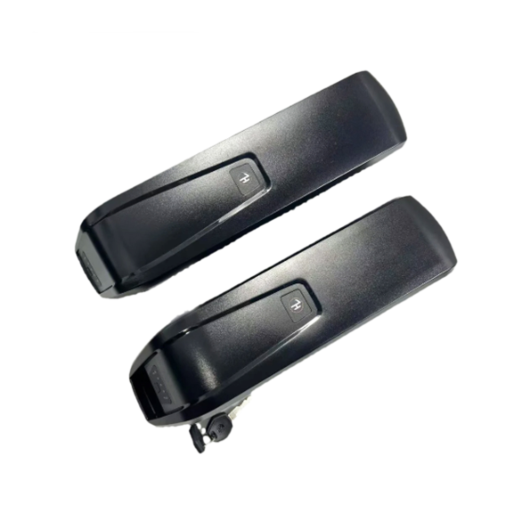 Hailong Shark Mountain Ebike D - Ebike Battery 48V 20Ah Hailong 评论和价格