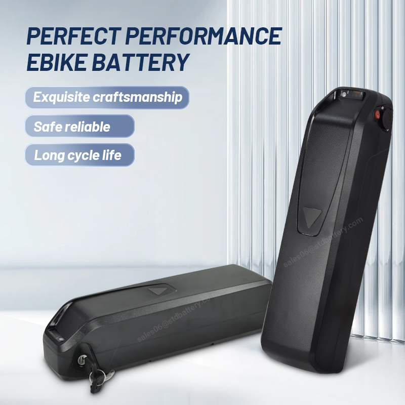 ALX Hailong ebike battery 36v  - Ebike Battery 48V 20Ah Hailong 评论和价格