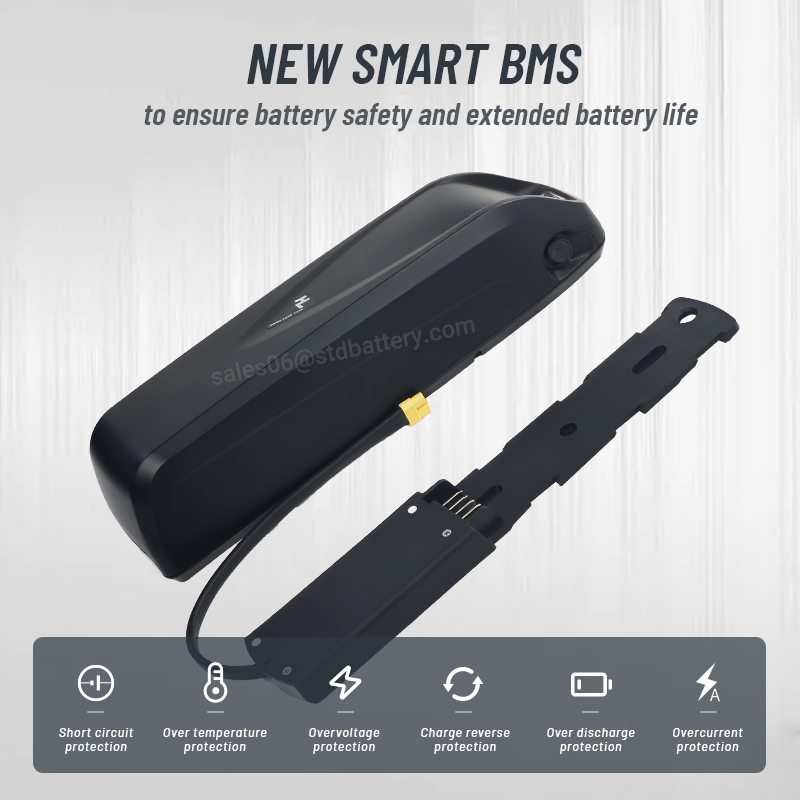 Hailong EBike Battery 36V 48V  - Ebike Battery 48V 20Ah Hailong 评论和价格